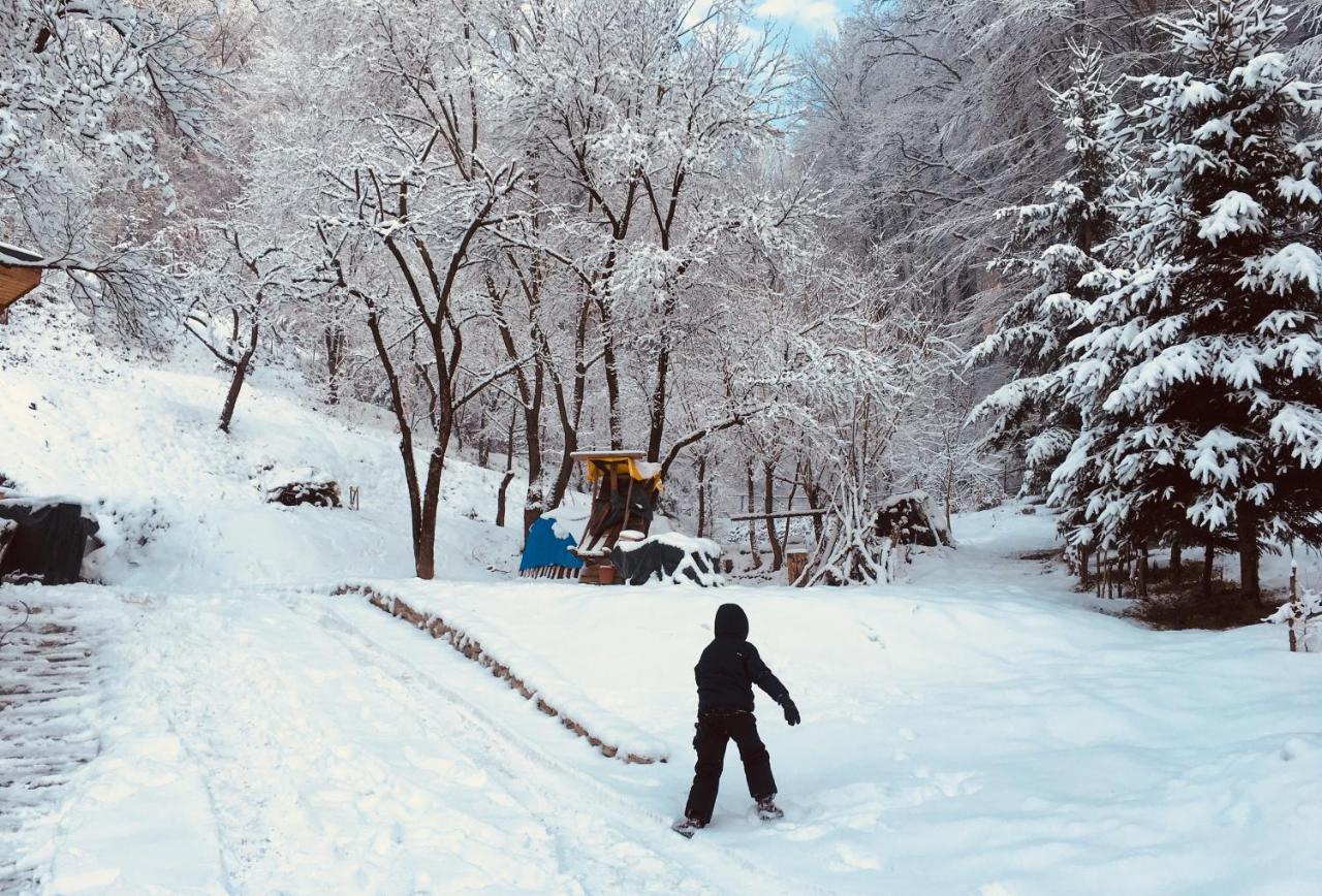 Soho Lodge Rasnov מראה חיצוני תמונה