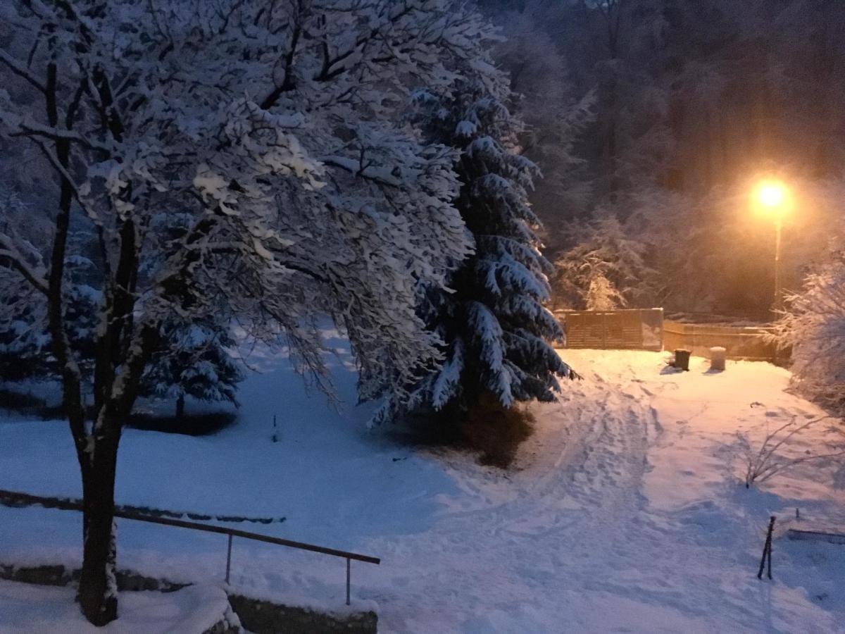 Soho Lodge Rasnov מראה חיצוני תמונה