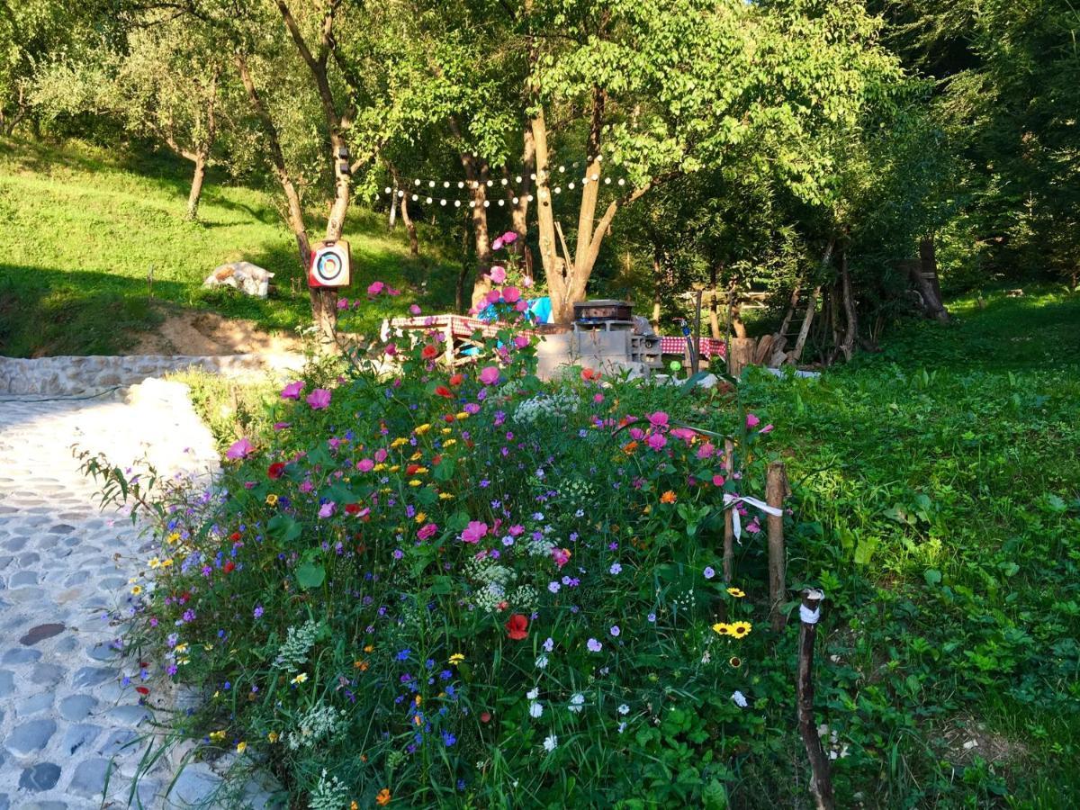 Soho Lodge Rasnov מראה חיצוני תמונה