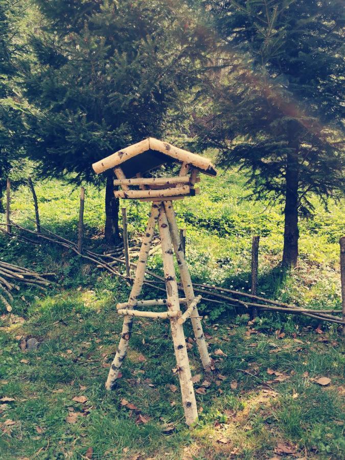 Soho Lodge Rasnov מראה חיצוני תמונה