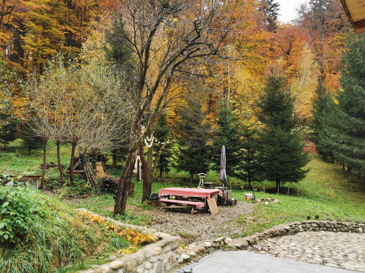 Soho Lodge Rasnov מראה חיצוני תמונה