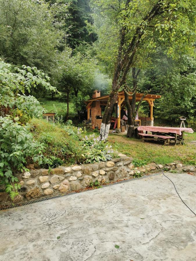 Soho Lodge Rasnov מראה חיצוני תמונה
