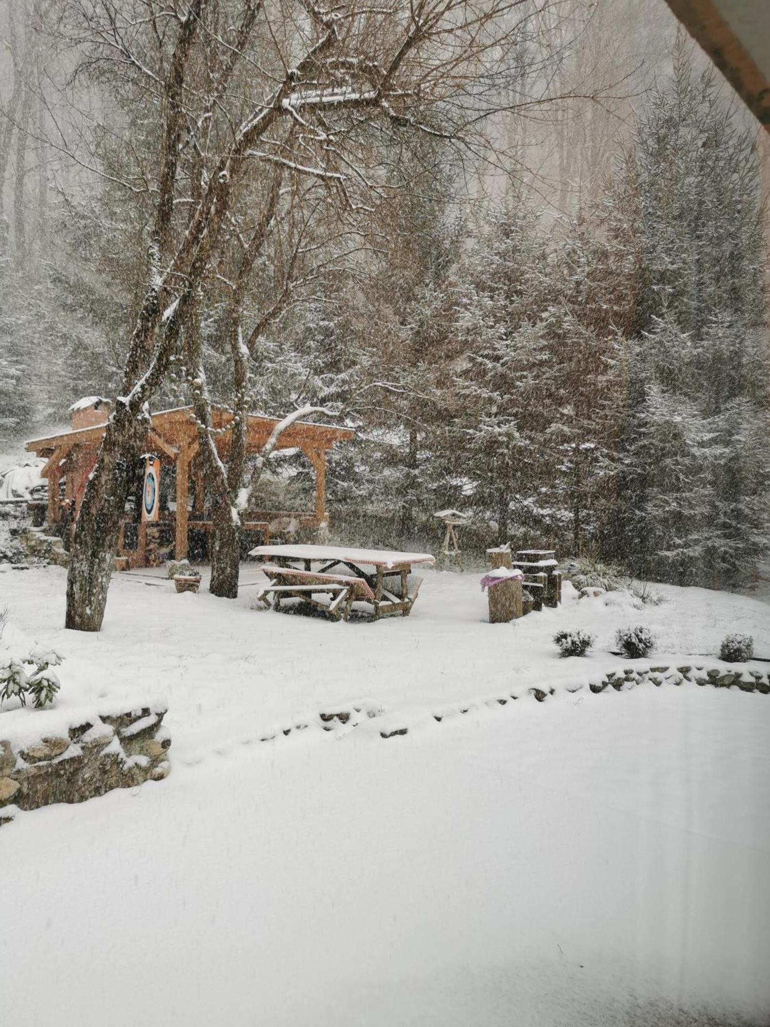 Soho Lodge Rasnov מראה חיצוני תמונה