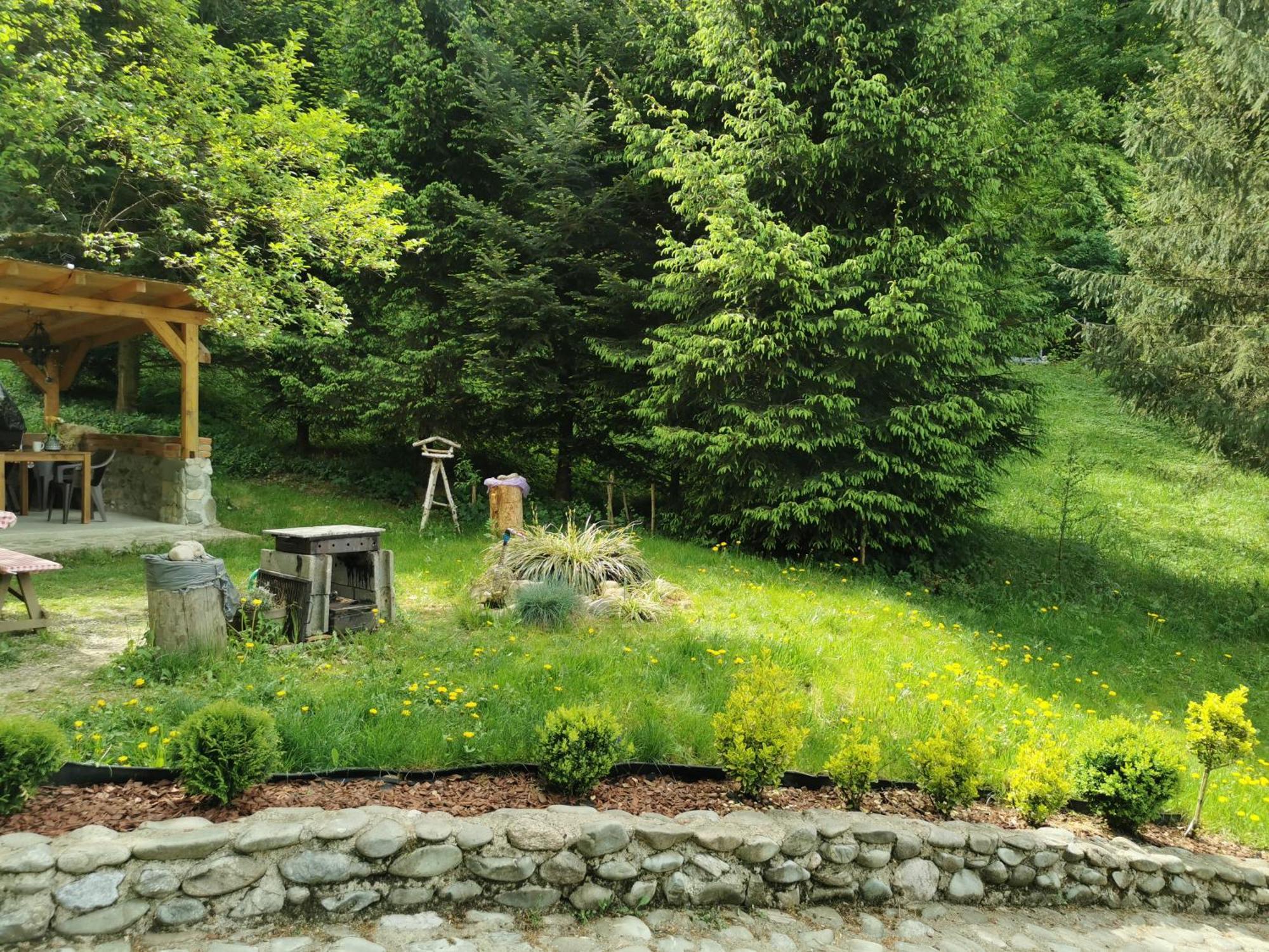 Soho Lodge Rasnov מראה חיצוני תמונה